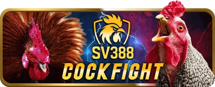 Lịch sử phát triển và cột mốc quan trọng của bg888 win